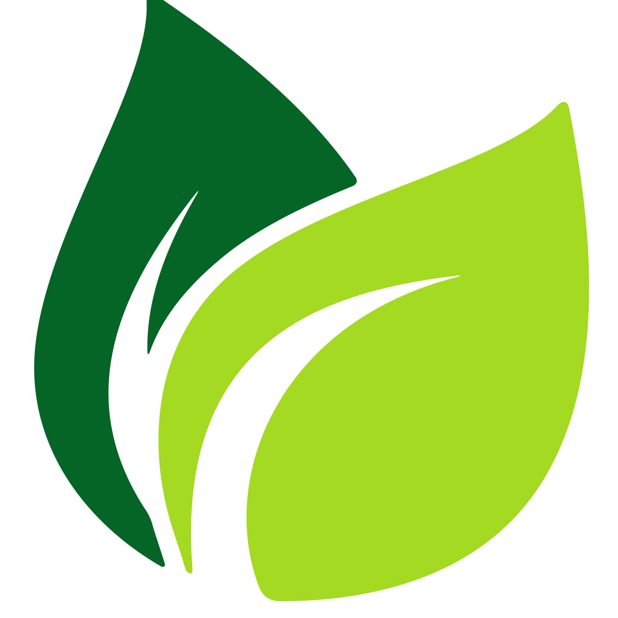 two connected leaves logo